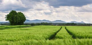 Ile kosztuje wymiana kół bez wyważania?