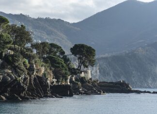 Ile kosztuje nowa Alfa Romeo Stelvio?
