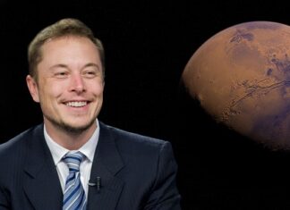 Jakimi samochodami jeździ Elon Musk?