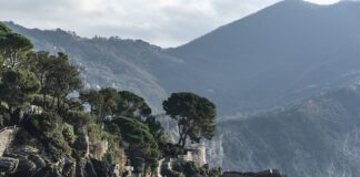 Ile kosztuje 6.3 AMG?